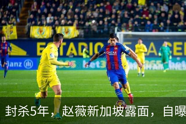 封杀5年，赵薇新加坡露面，自曝谋生手段，估计和你想的不一样