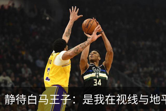静待白马王子：是我在视线与地平线之间为你留出的可调节焦距